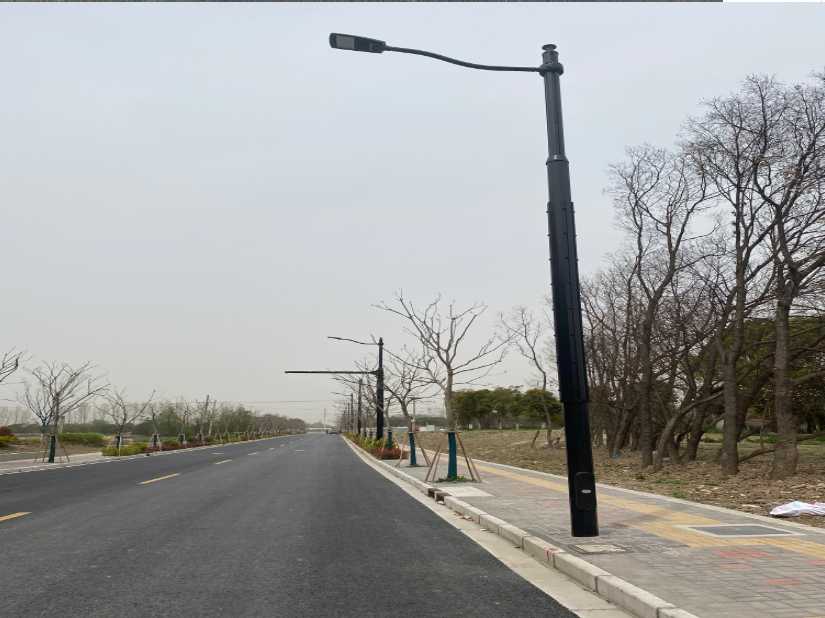 麻栗坡县上海综合杆 太阳能路灯工程